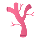 Coronary Artery Bypass Grafting